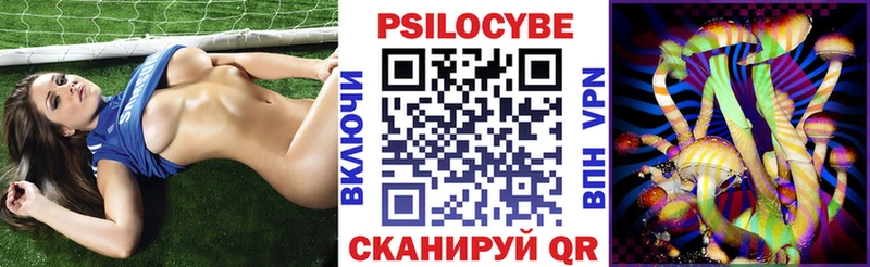 даркнет Telegram  Ясный  Галлюциногенные грибы мицелий 
