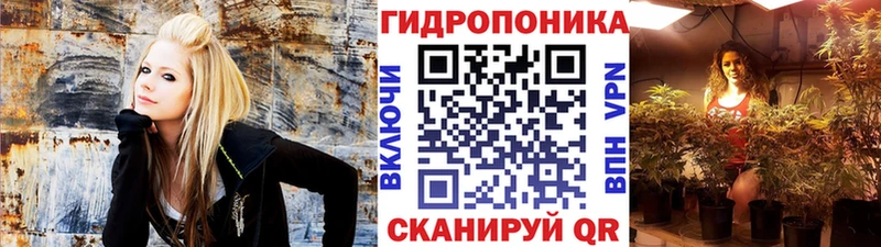 Бошки Шишки Ganja Ясный